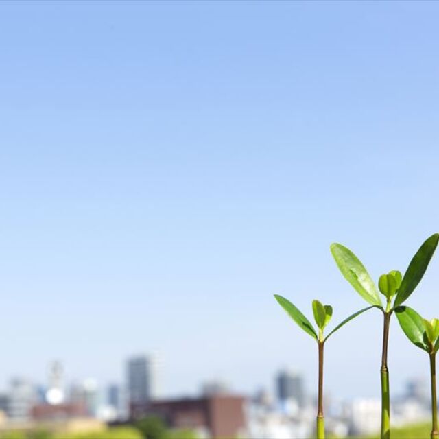 劣化した外壁や屋根を塗り替えます